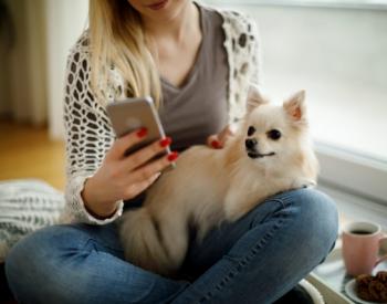 Your Smartphone Is Making Your Dog Depressed, Study Says