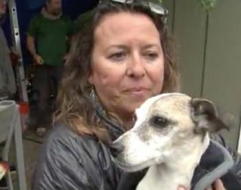 Jack Russell Terrier Rescued After Being Stuck Under House for Over 30 Hours