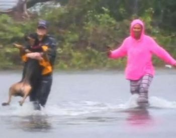 Reporter Stops Live Stream to Save Therapy Dog From Flooding