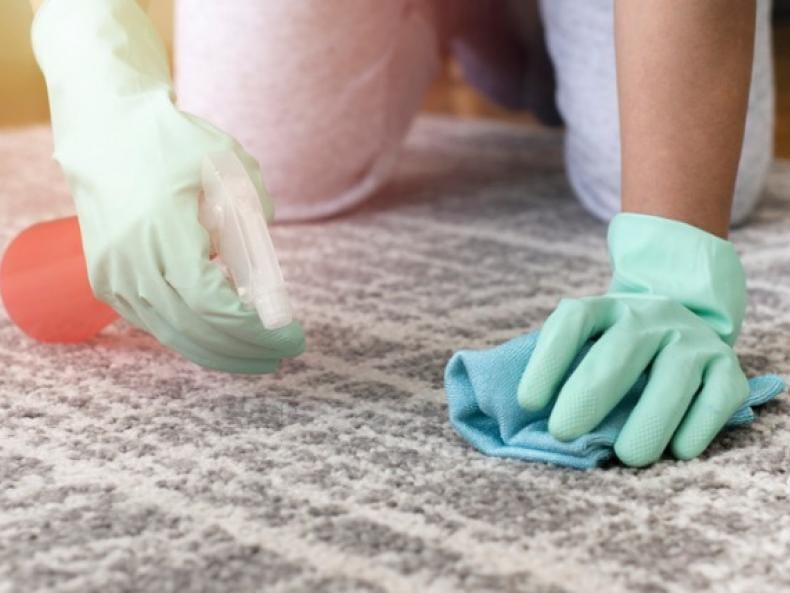 Dog Smell From Carpet, How To Eliminate Dog Urine Odor On Hardwood Floors