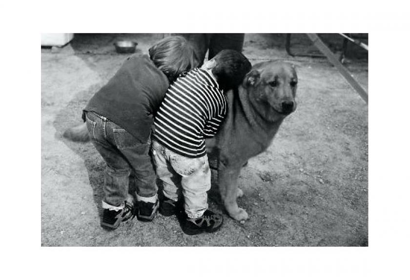 The 12 Best Dog Hugs of All Time | PetMD