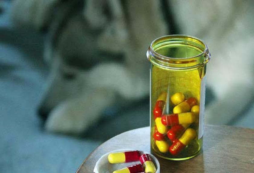 Five Common Dog Medications