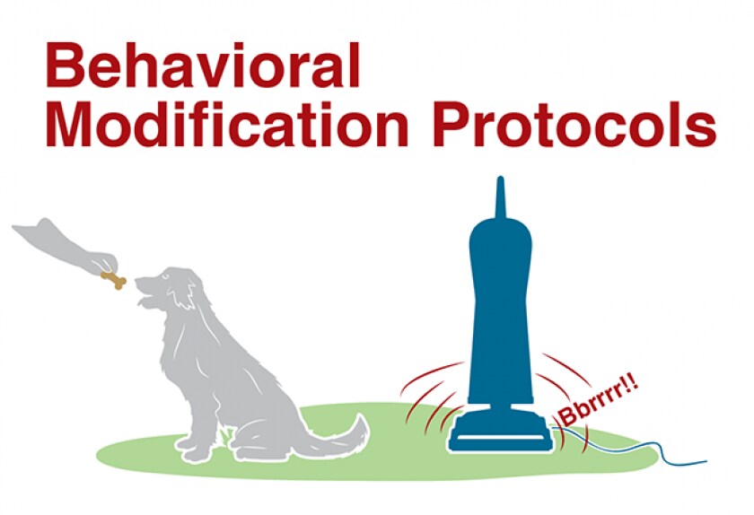 14 Medications for Dog Anxiety