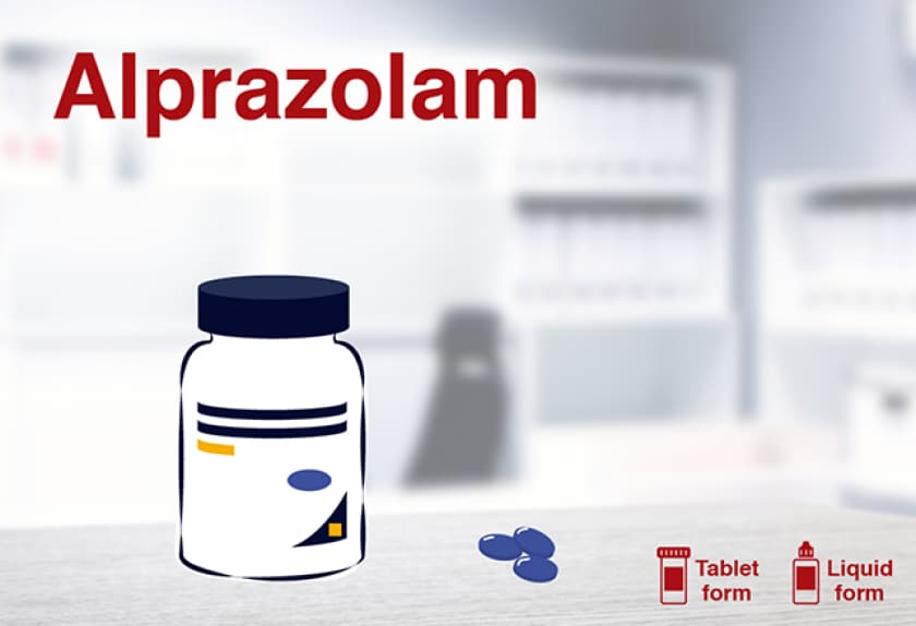 14 Medications for Dog Anxiety PetMD