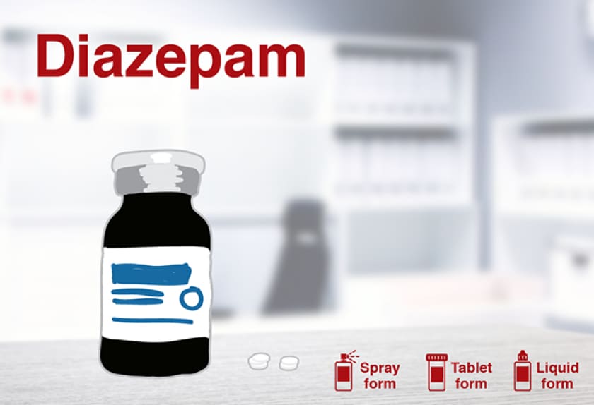 14 Medications for Dog Anxiety PetMD