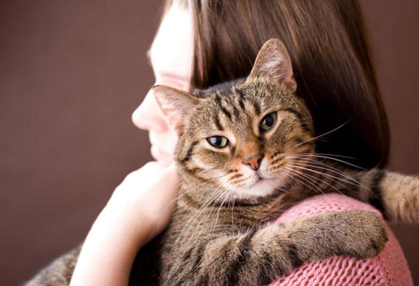 10 Tips for Creating a StressFree Environment for Your Cat