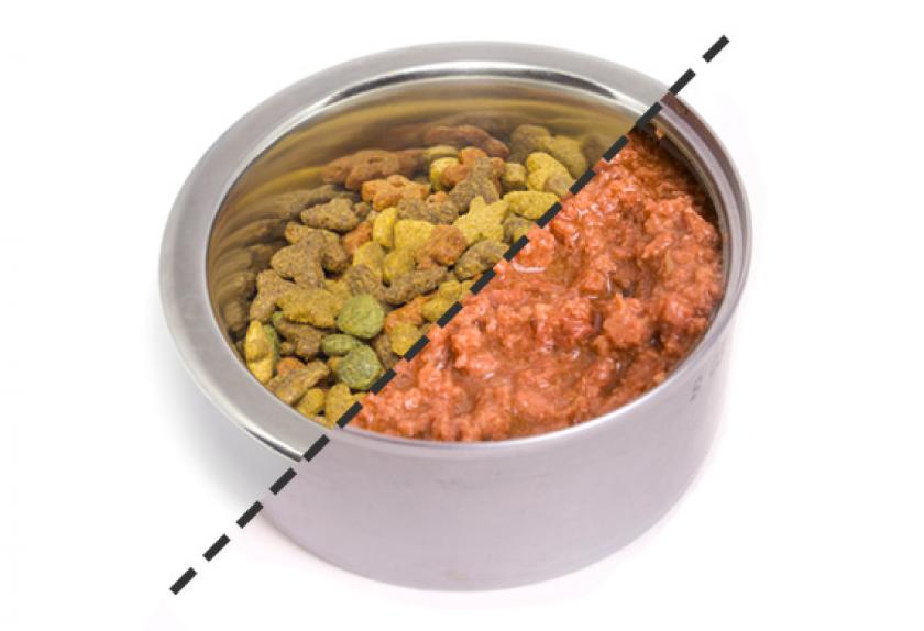 How to Read Cat Food Label Choosing Best Cat Food & Ingredients PetMD