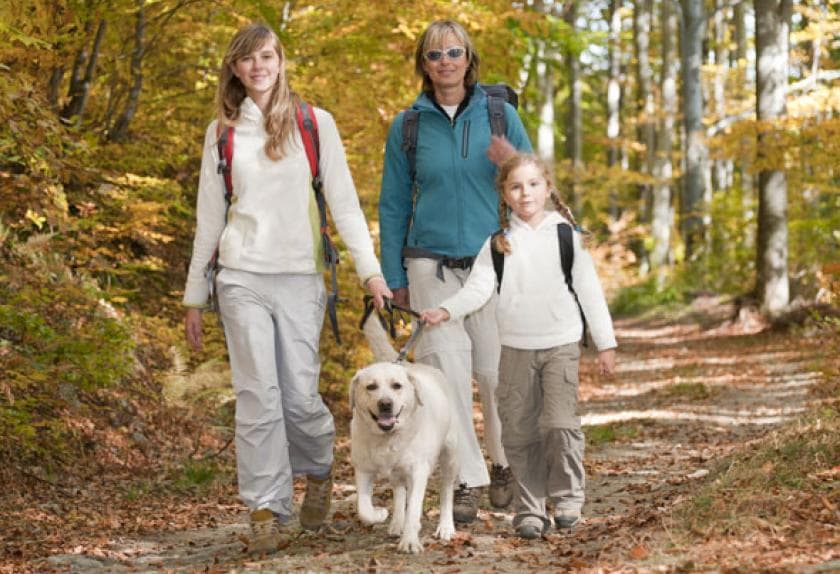 best dogs for apartments and hiking