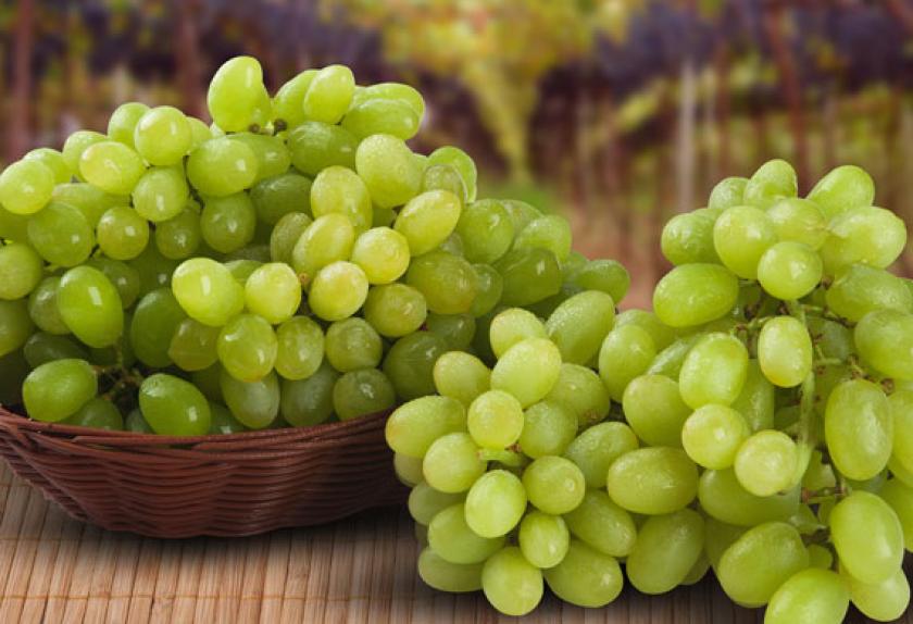 10 Fruits and Vegetables for Lizards PetMD