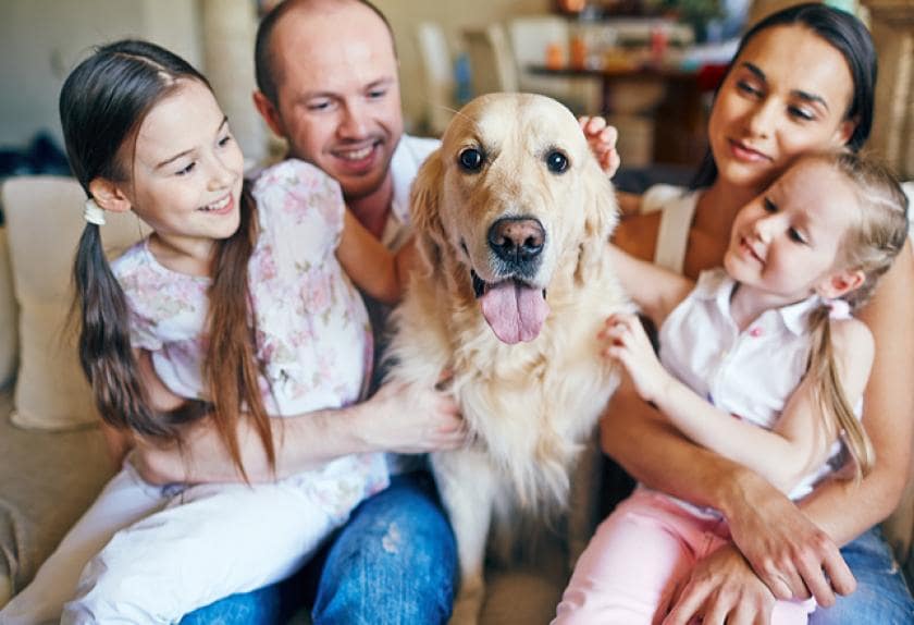 best dogs for working families