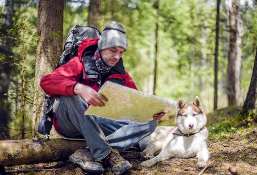 best dogs to hike with