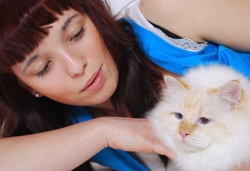 most affectionate cat breeds