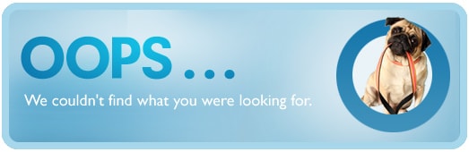 The requested Page could not be found.